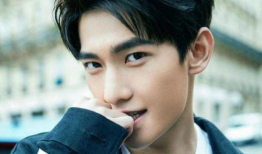 吃瓜爆料杨洋邢昭林,娱乐圈的瓜田奇遇记