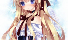 动漫美女美女,探寻虚拟世界中的绝色佳人